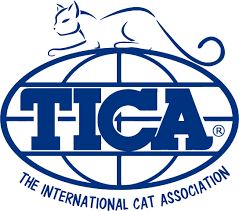 TICA (The International Cat Association)